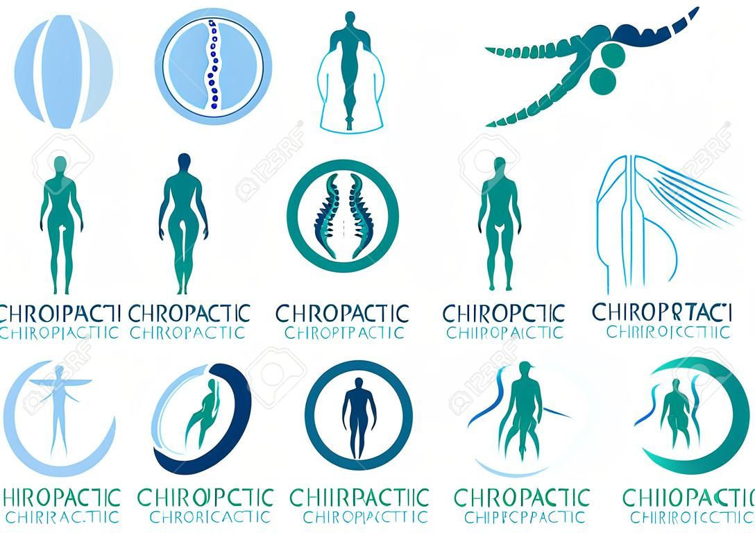 Un insieme di vettore di logo chiropratico, simbolo medico di assistenza sanitaria della colonna vertebrale o pacchetto di icone o raccolta.
