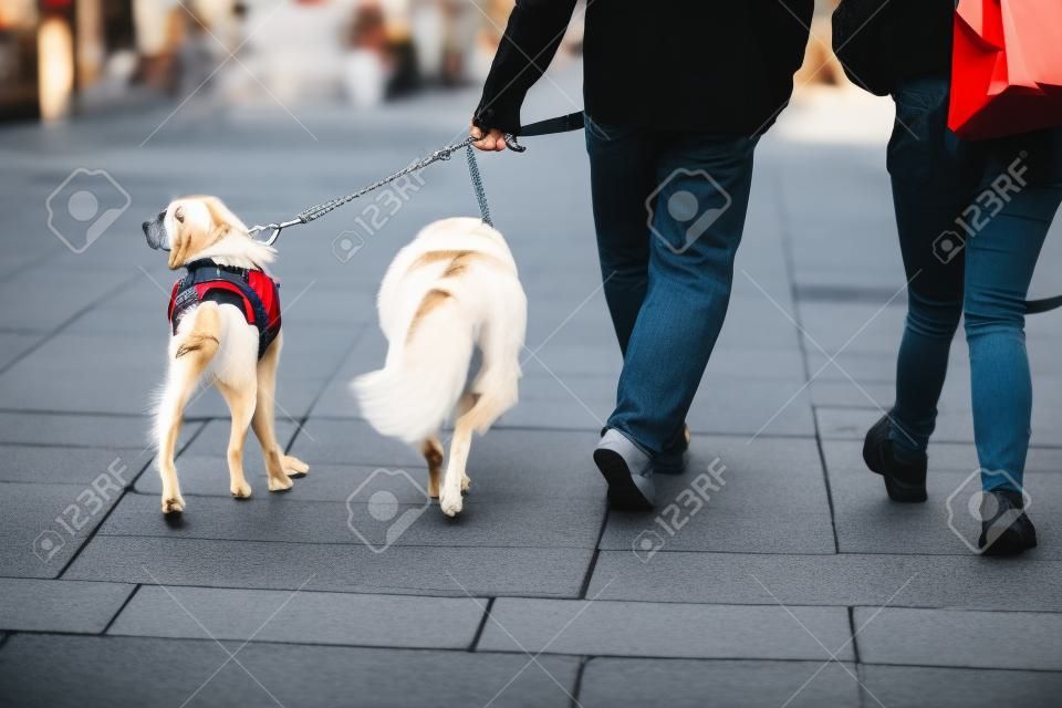 Pessoas andando na movimentada cidade urbana shopping rua calçada com cão de estimação na coleira.