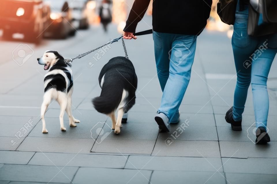 Pessoas andando na movimentada cidade urbana shopping rua calçada com cão de estimação na coleira.