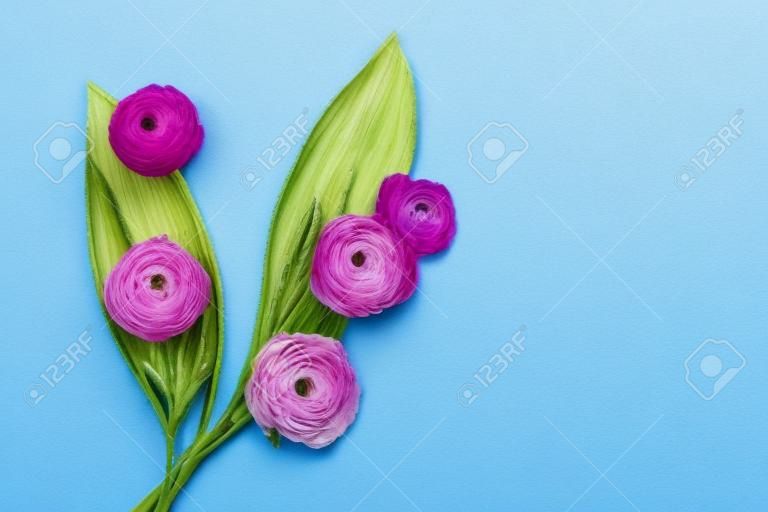 Many buds of ranunculus pink flowers with green tropical leaves on turquoise background. Top view.