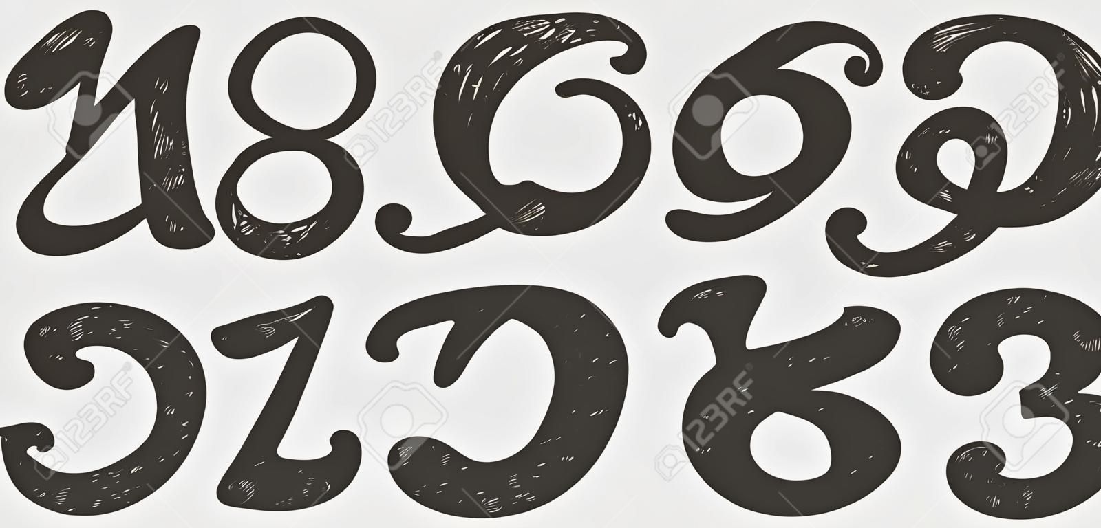 Numéros fixés dans le style de calligraphie dessiné à la main. Vector modèle de conception des éléments.
