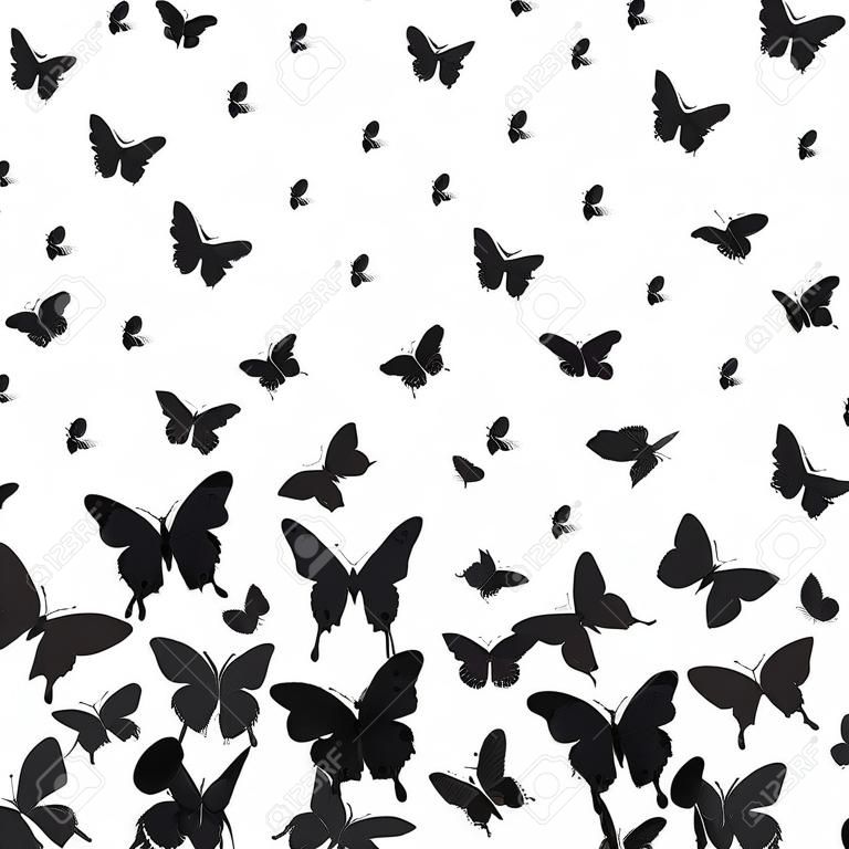 Весна лето карта дизайн. Баннер, черная бабочка на белом фоне. Векторные иллюстрации