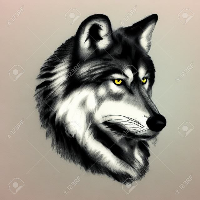 Wolf muzzle sketch