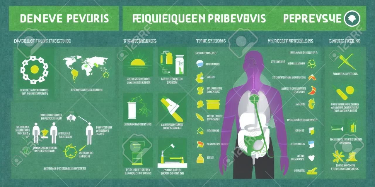 Infográfico do vírus da dengue: estrutura do vírus, transmissão, prevenção, sintomas e tratamento