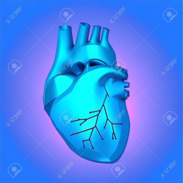 Coração humano. Wireframe baixo estilo poli. Conceito para ciência médica, doença cardiológica. Ilustração vetorial 3d moderna abstrata no fundo azul escuro.