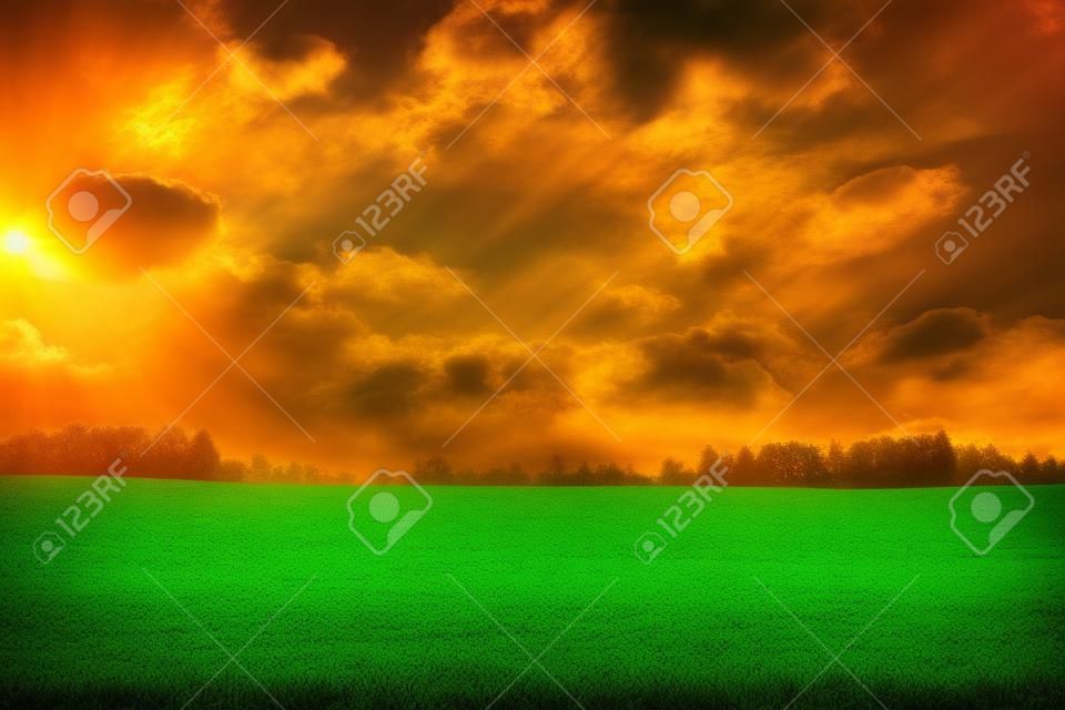Bright sunset over green field 