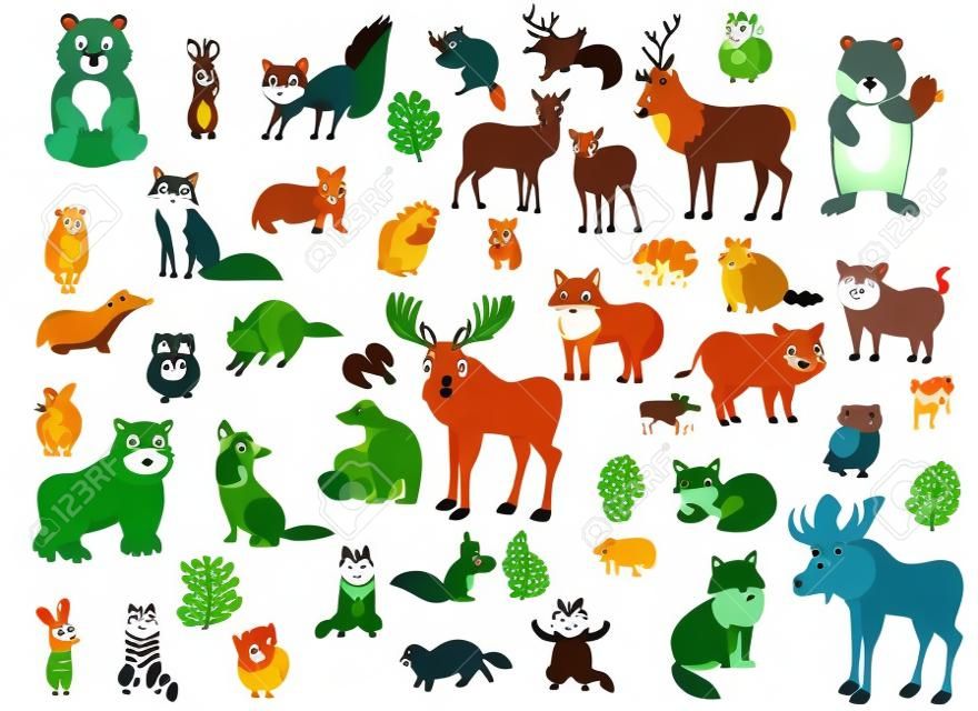 Zwierzęta leśne duże kreskówka wektor zestaw dla dzieci. Mega kolekcja zwierząt w różnych pozycjach dla dzieci. Na białym tle