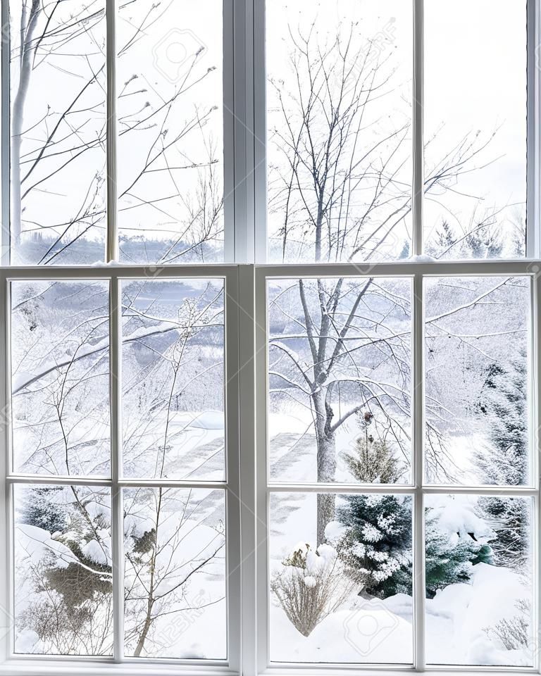 冬季树木和植物的家用乙烯绝缘窗户