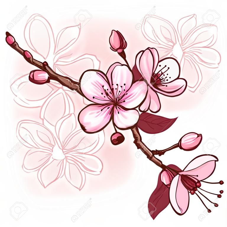 Cherry blossom  Decorative floral illustration of sakura flowers
