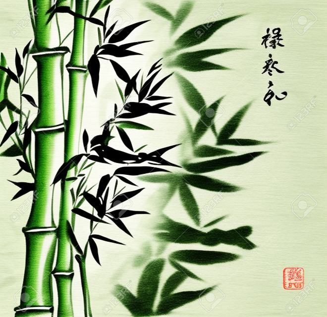 Карточка с зеленым бамбука в суми-э стиле. Ручной обращается с чернилами. Содержит иероглифами счастье, благополучие, вечность, гармонию