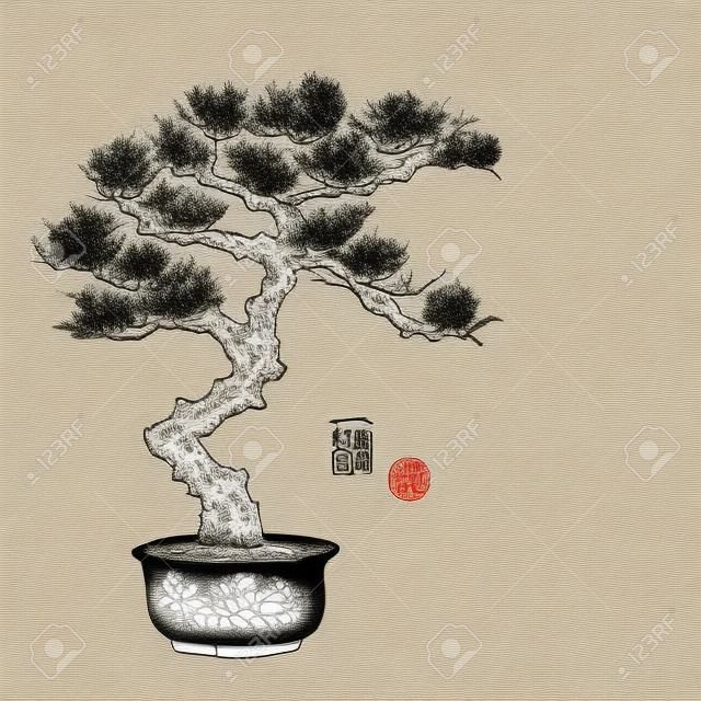 Bonsai pine tree hand hand-drawn with ink in traditional Japanese style sumi-e. Contains hieroglyphs - happiness, luck