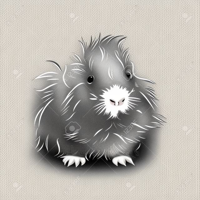 plump cute Guinea pig, sketch vector graphics black and white drawing