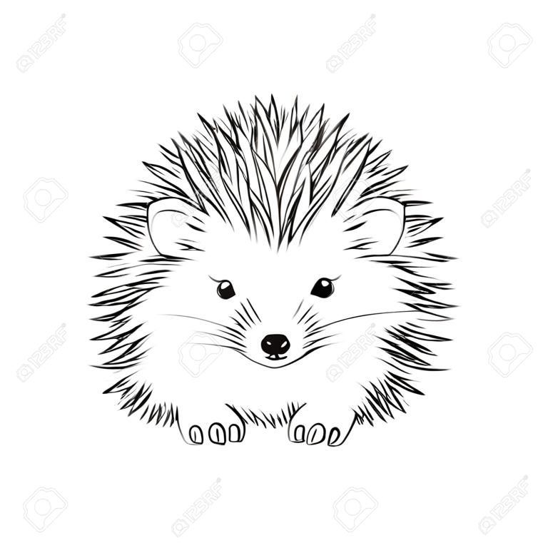 Desenho de esboço de Hedgehog isolado no fundo branco