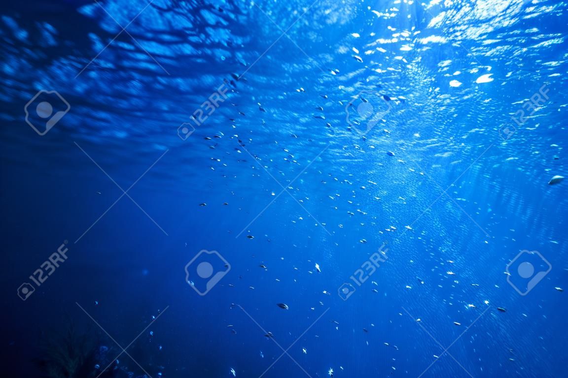 水下的背景下，深藍色的大海與太陽的光輝