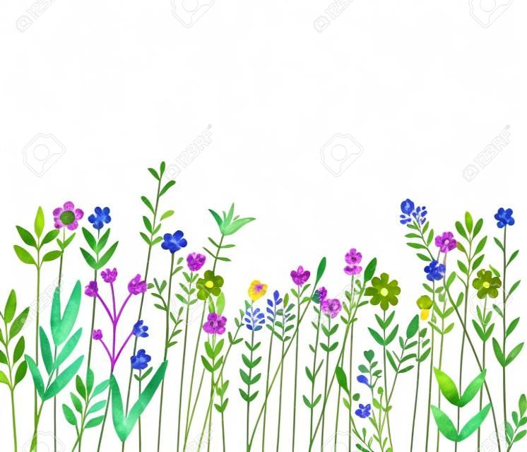 Bloem naadloze rand van een wilde bloemen en kruiden op een witte achtergrond.. Aquarel met de hand getekend illustratie.