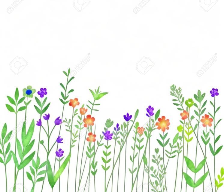 Bloem naadloze rand van een wilde bloemen en kruiden op een witte achtergrond.. Aquarel met de hand getekend illustratie.