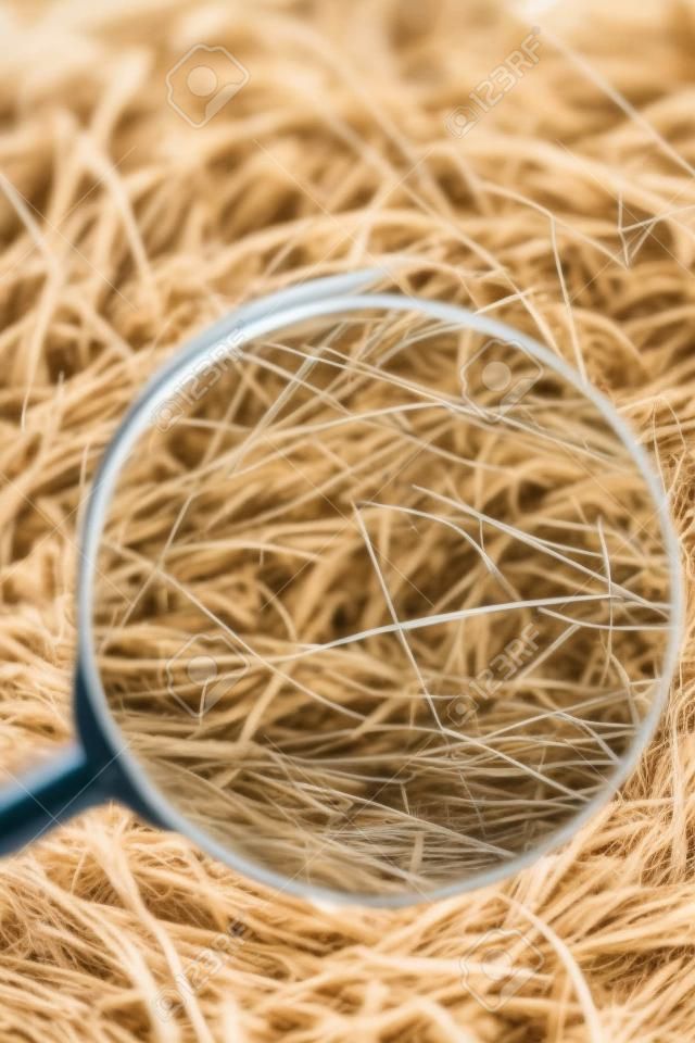 Finding the needle with magnifying glass in the haystack