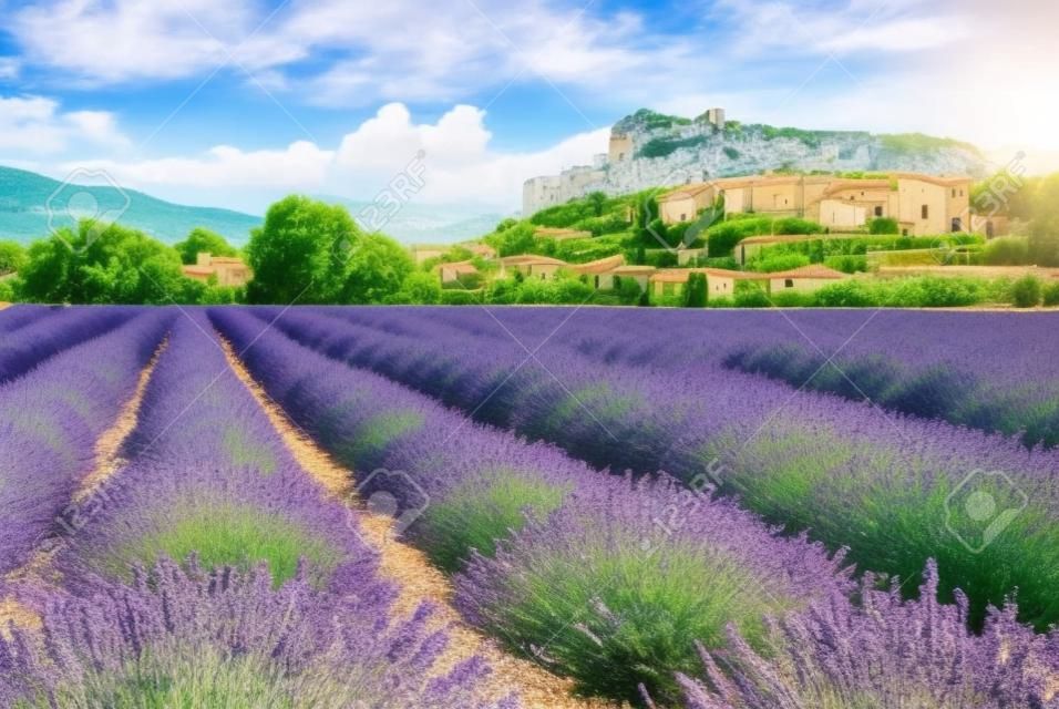 Sault, Provence - Scenic beautiful hilltop village with lavender fields, summer travel in France