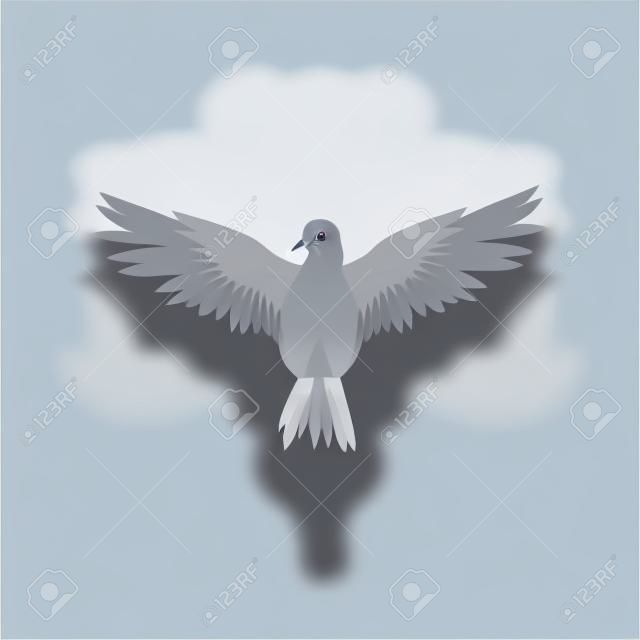 Gray dove in flying action with wide open wings, front view. Fauna theme. Flat vector for poster or ornithology book