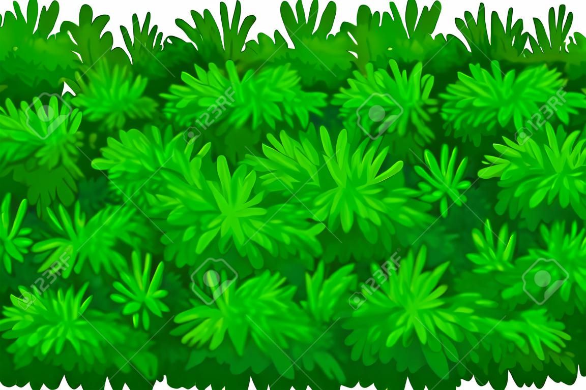 Cespuglio verde scuro come pianta legnosa perenne con illustrazione vettoriale di copertura a fogliame denso