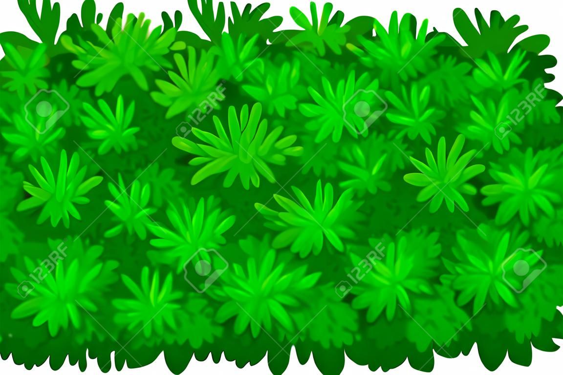 Cespuglio verde scuro come pianta legnosa perenne con illustrazione vettoriale di copertura a fogliame denso