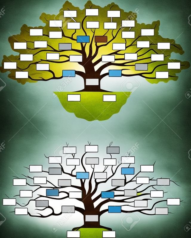 albero genealogico