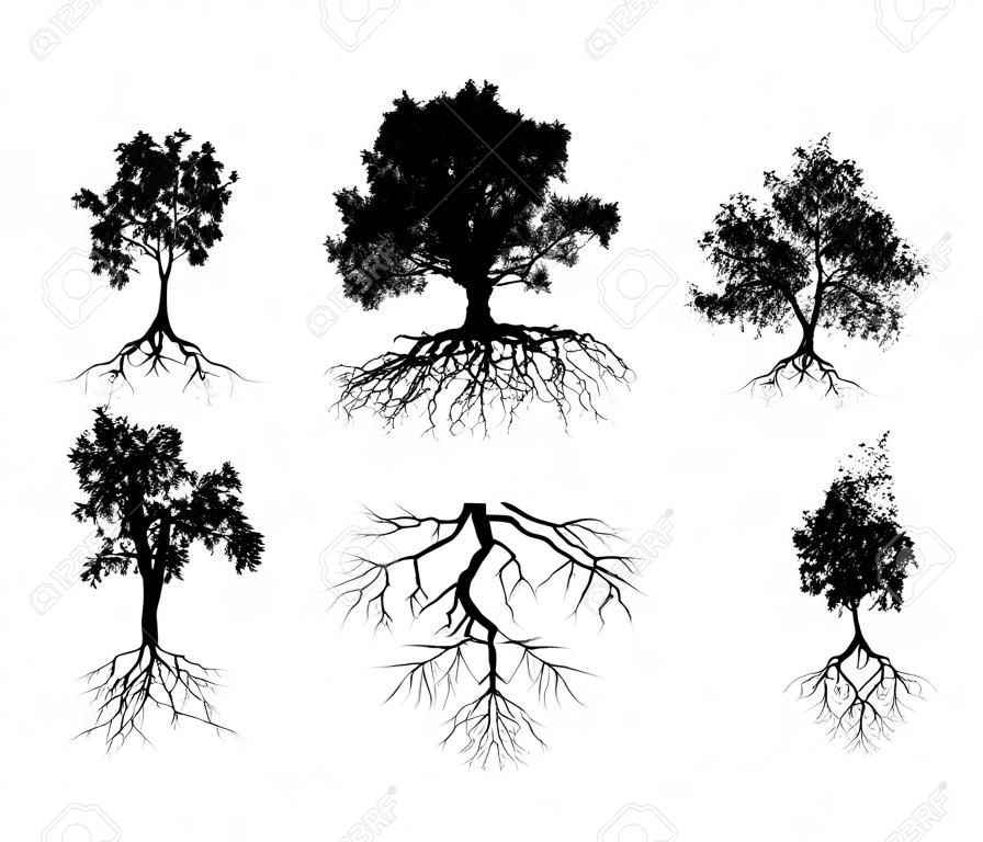 set of big tree silhouettes with root isolated on a white background