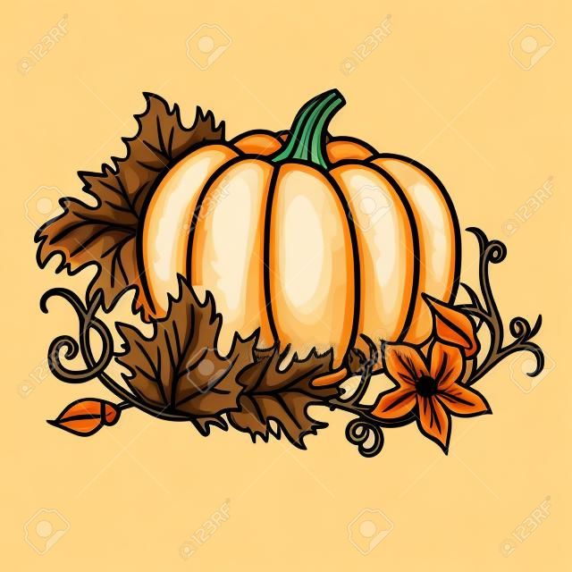 Pumpkin vector tekening. Geïsoleerde cartoon groente met bladeren en bloem op tak. Hand getrokken oogst illustratie.