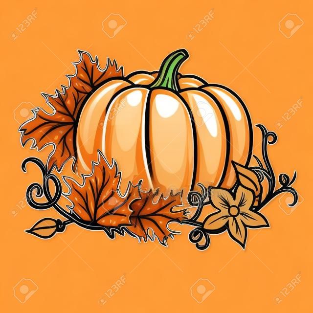 Pumpkin vector drawing. Isolated cartoon vegetable with leaves and flower on branch. Hand drawn harvest illustration.
