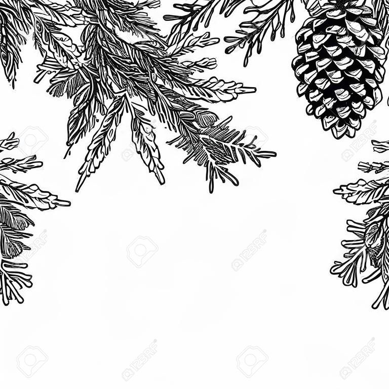 Fir tree and pine cone hand drawn vector square frame for winter and holiday decor. Botanical xmas and new year illustration. Great for greeting card, poster, banner