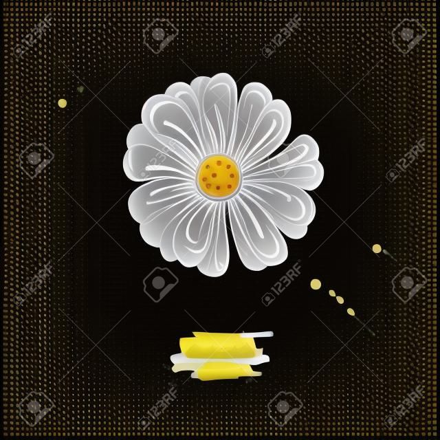 Rysunek wektor nagietka. Na białym tle medyczny kwiat i liście.
