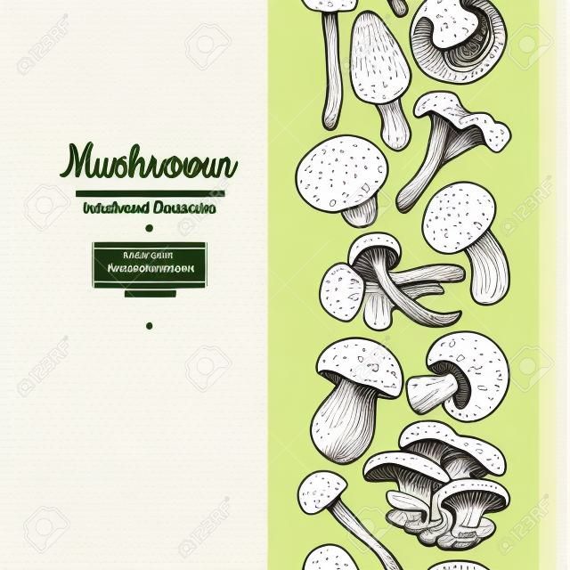 蘑菇绘图矢量seamlees边框。孤立的食物框架