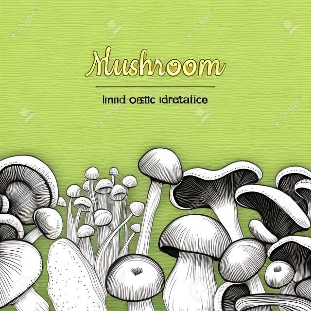 Mushroom hand drawn vector frame. Isolated Sketch organic food drawing template.