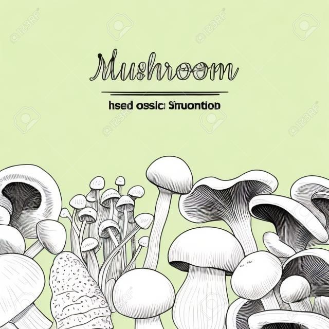 Mushroom hand drawn vector frame. Isolated Sketch organic food drawing template.