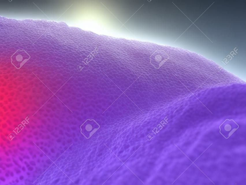 3d rendered illustration of human cilia