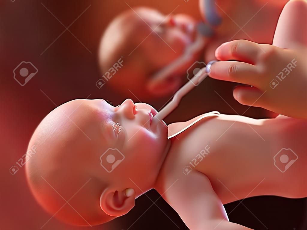 3d rendered medically accurate illustration of twins - week 23