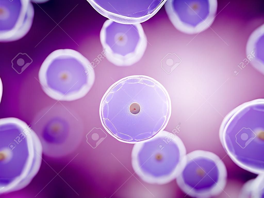 3d ha reso l'illustrazione di cellule umane generiche