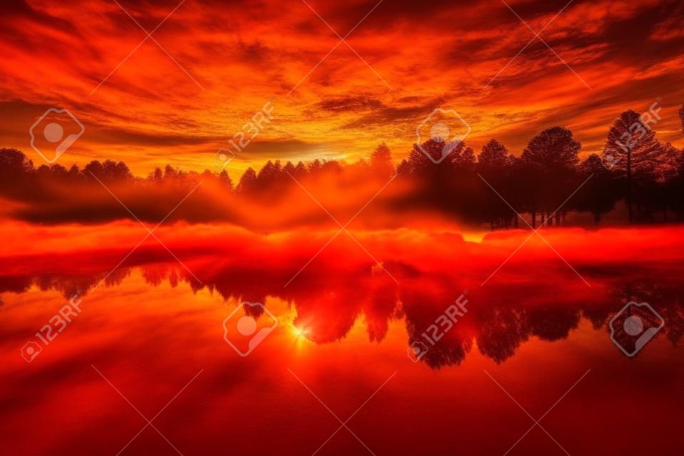 Roter orange leuchtender feuriger Sonnenuntergang über Waldlandschaft.