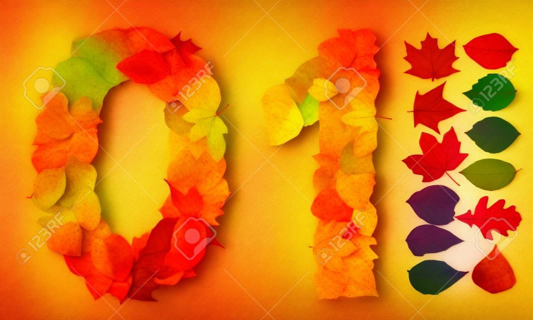 Numbers 0 and 1 made of colorful autumn leaves. Standalone design elements attached