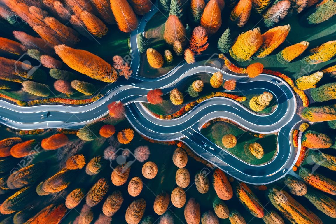 Carretera escénica con curvas vista desde un dron en otoño.