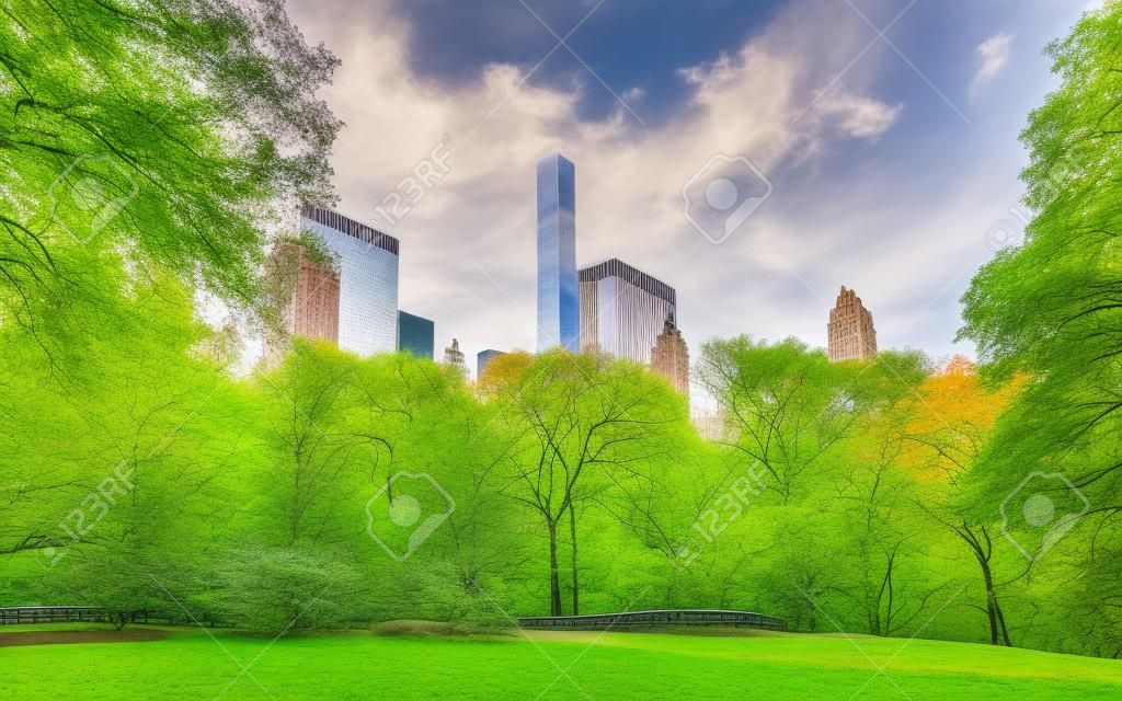Central park South New York, great design for any purposes. Midtown Manhattan, USA. View with Skyline of Skyscrapers architecture in NYC. Nature background. Urban cityscape. NY, US