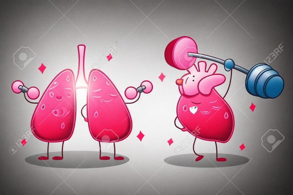 cute cartoon heart and lung do sport