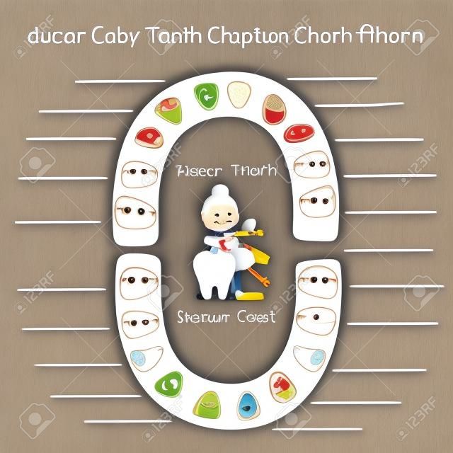 cartoon Baby tooth chart eruption record, great for health dental care concept