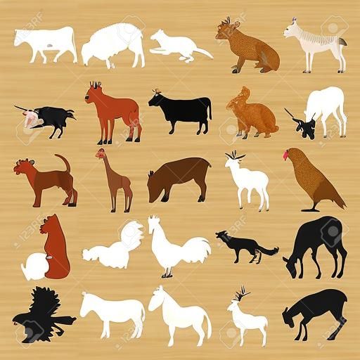 Ensemble de 25 animaux. Mouton, cafard, vache, lapin, chien, girafe, cochon, perroquet, gorille, coq, renard, autour des palombes, zèbre, âne, élan, cerf.