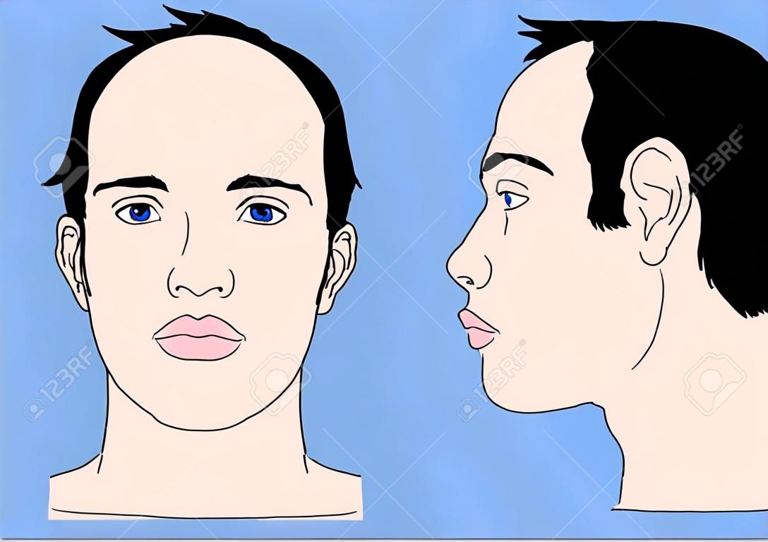 testa umana, profilo anteriore e lato sinistro