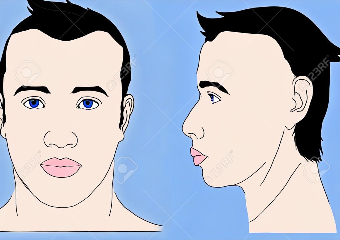cabeza humana, perfil frontal y lateral izquierda