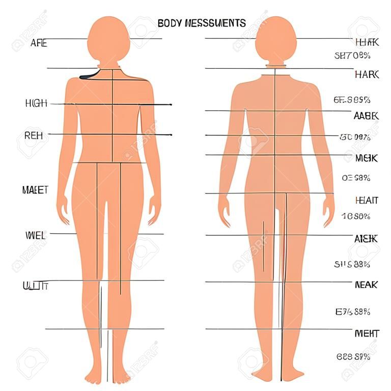 wektor tabelę rozmiarów pomiarów ciała, modelka ubranie, szycie