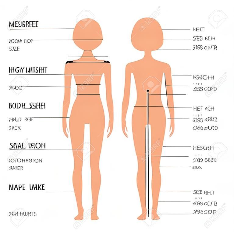 vector gráfico de las medidas del cuerpo tamaño, modelo de ropa femenina, costura