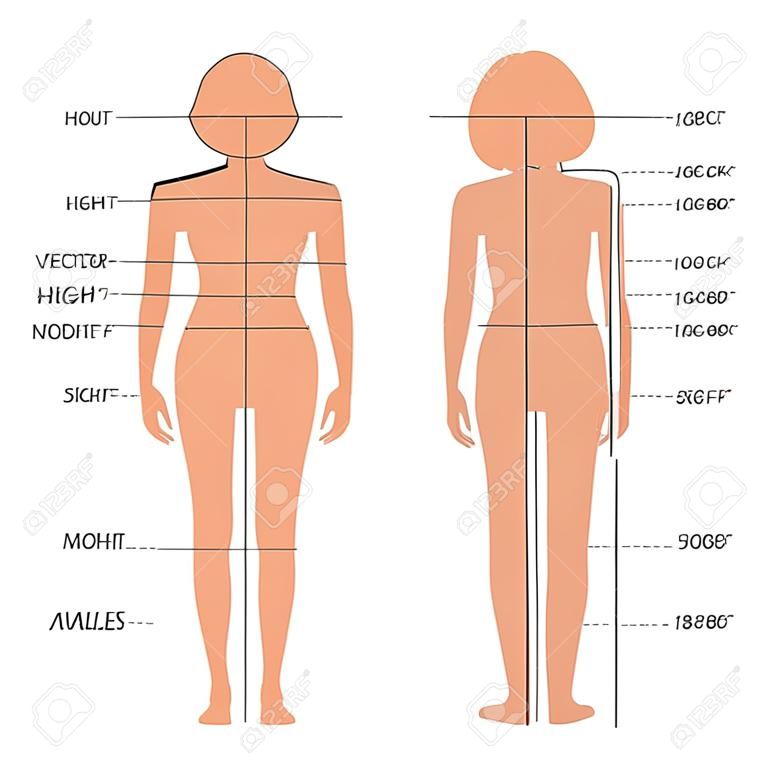 벡터 신체 측정 크기 차트, 여성 의류 모델, 재봉