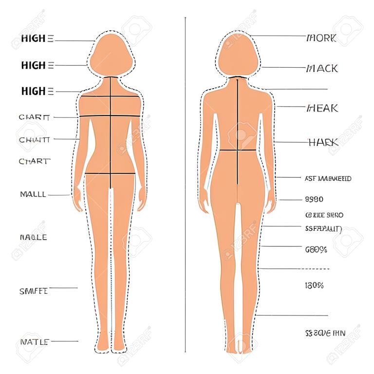 vector body measurements size chart, female clothing model, sewing